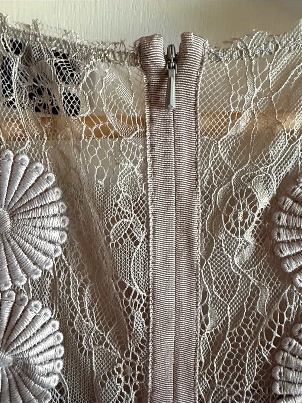 BYRON LARS Taupe Lace Midi Dress with Floral Appliqué - Picture 6 of 6